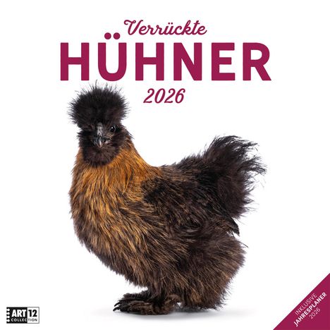 Ackermann Kunstverlag GmbH: Verrückte Hühner Kalender 2026 - 30x30, Kalender