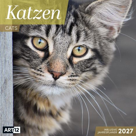 „Katzen“, „Cats“, „inklusive Jahresplaner 2027“. Ein Porträt eines grauen, getigerten Zottelkatzenkopfes mit gelben Augen.