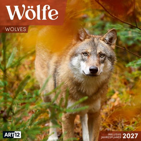 Text: "Wölfe", "Wolves", "Inklusive Jahresplaner 2027". Ein Wolf schaut zwischen grünem Laub direkt nach vorne.