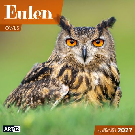 Text: "Eulen", "Owls", "ART12", "Inklusive Jahresplaner 2027". Eine Eule mit intensiven orangefarbenen Augen auf grünem Hintergrund.