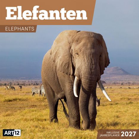 „Elefanten“ – ein Elefant steht in der Savanne, im Hintergrund Zebras, ein Berg und grasende Tiere.