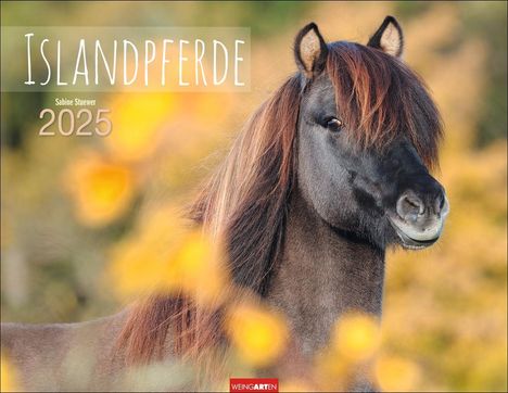 Islandpferde Kalender 2025, Kalender