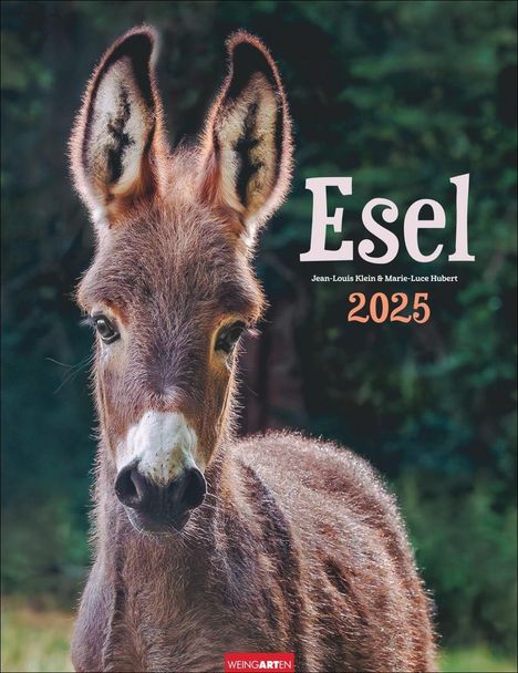 Esel Kalender 2025, Kalender