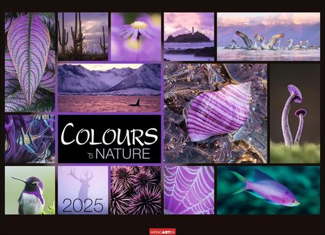 Colours of Nature Kalender 2025, Kalender