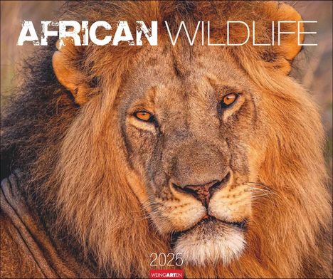 African Wildlife Kalender 2025, Kalender