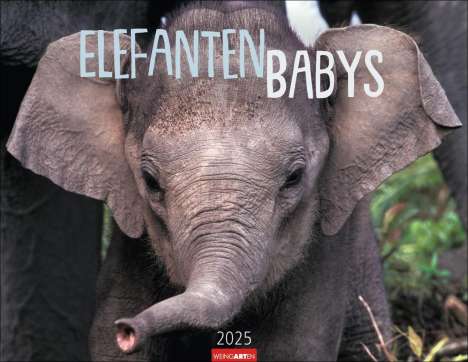 Elefantenbabys Kalender 2025, Kalender