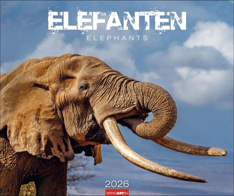 Elefanten Kalender 2026, Kalender