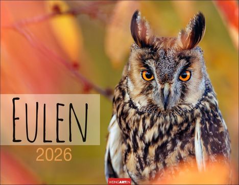 Eulen Kalender 2026, Kalender