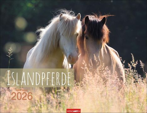 Islandpferde Kalender 2026, Kalender