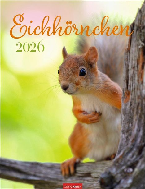 Eichhörnchen Kalender 2026, Kalender