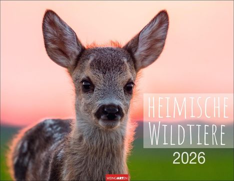 Heimische Wildtiere Kalender 2026, Kalender