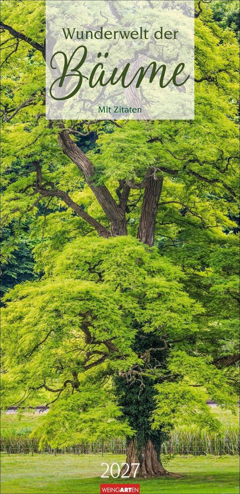 "Wunderwelt der Bäume. Mit Zitaten. 2027. Logo: WEINGARTEN." Ein großer, grüner Baum mit dichter Belaubung.