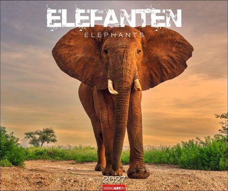Text "ELEFANTEN ELEPHANTS 2027 WEINGARTEN". Ein Elefant steht auf einem sandigen Weg, umgeben von grüner Vegetation.