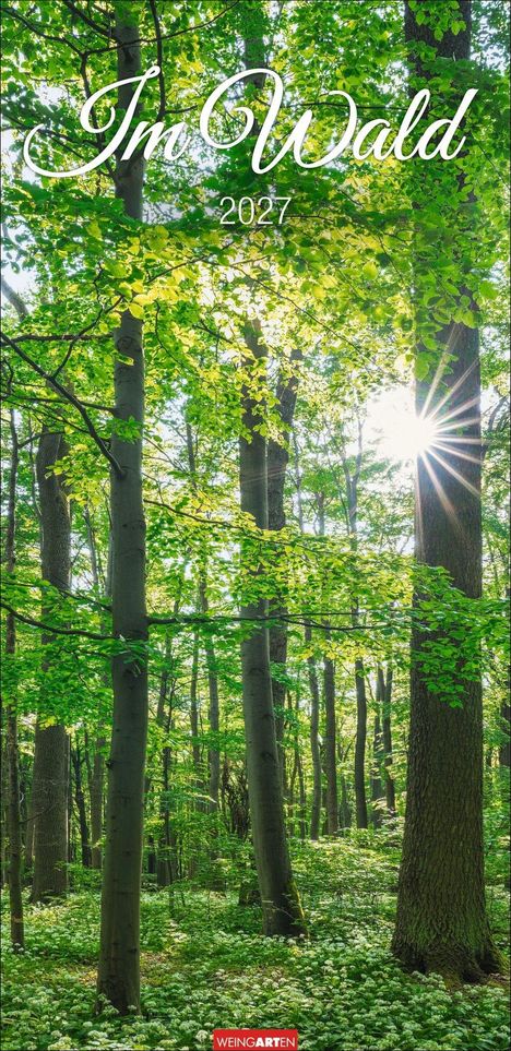 "Im Wald 2027" in eleganter Schrift. Sonnendurchfluteter grüner Wald mit Bäumen und blühendem Unterholz, Logo unten.