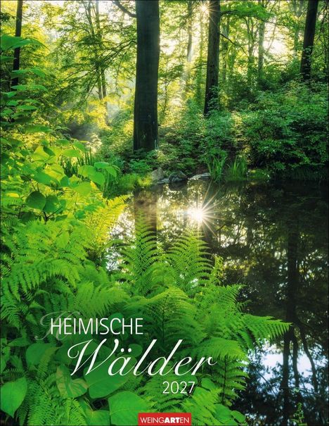 "HEIMISCHE Wälder 2027" unten auf Farn und Wald. Sonnenlicht scheint durch Bäume, reflektiert im Wasser.