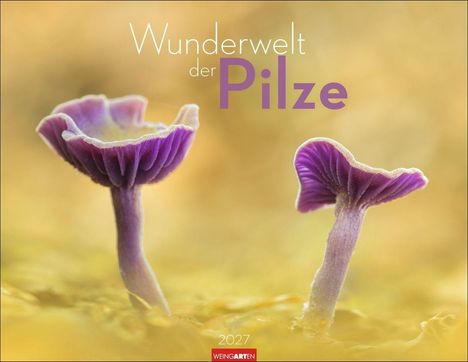 "Wunderwelt der Pilze" in großer Schrift. Zwei violette Pilze vor unscharfem gelbem Hintergrund, Jahr "2027".