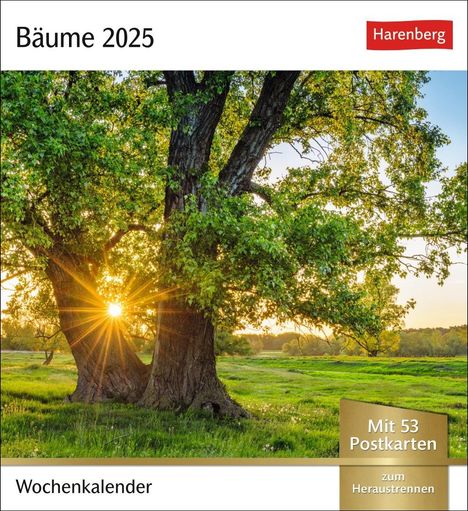 Bäume Postkartenkalender 2025 - Wochenkalender mit 53 Postkarten, Kalender