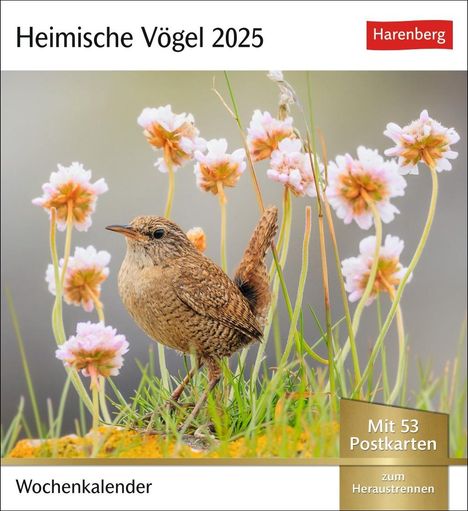 Heimische Vögel Postkartenkalender 2025 - Wochenkalender mit 53 Postkarten, Kalender
