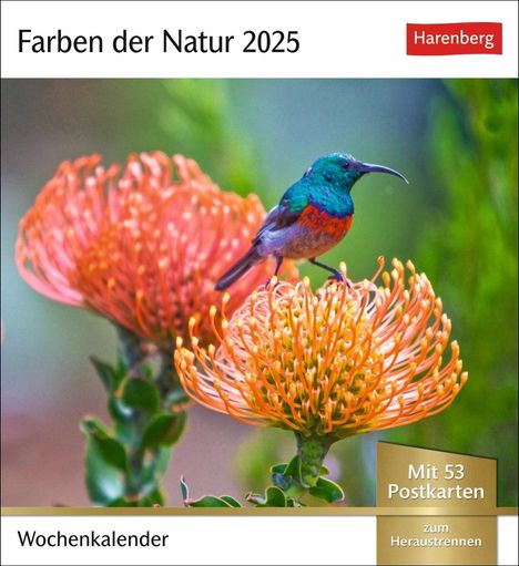 Farben der Natur Postkartenkalender 2025 - Wochenkalender mit 53 Postkarten, Kalender
