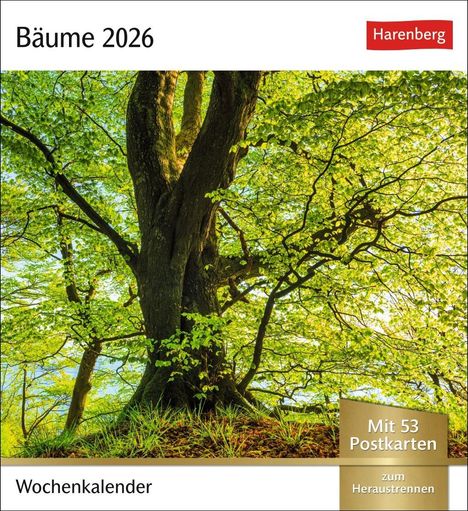 Bäume Postkartenkalender 2026 - Wochenkalender mit 53 Postkarten, Kalender