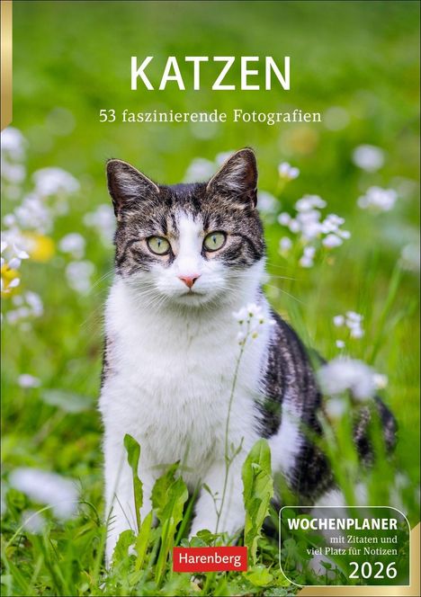 Thomas Huhnold: Katzen Wochenplaner 2026 - 53 faszinierende Fotografien, Kalender