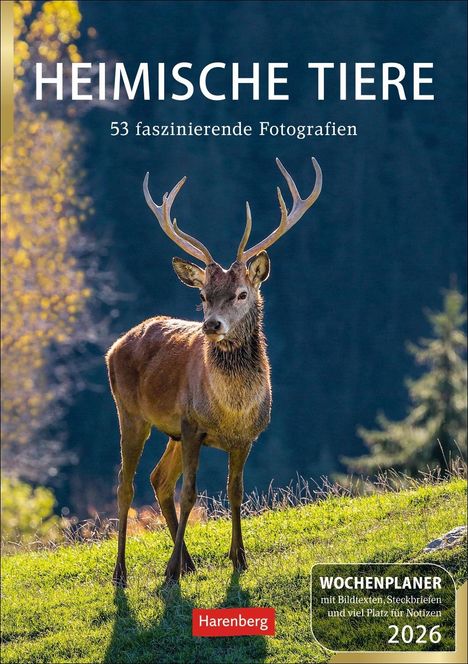 Markus Hattstein: Heimische Tiere Wochenplaner 2026 - 53 faszinierende Fotografien, Kalender