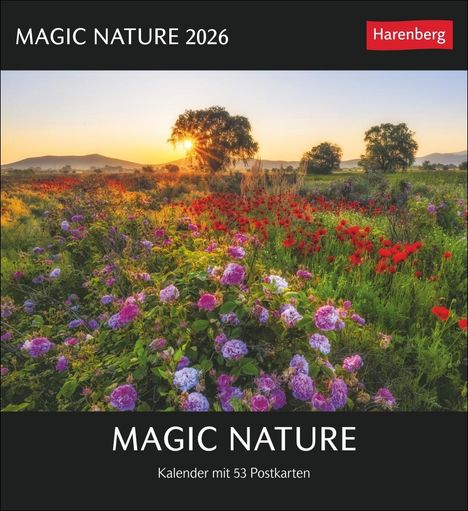 Magic Nature Postkartenkalender Kalender 2026 - Kalender mit 53 Postkarten, Kalender