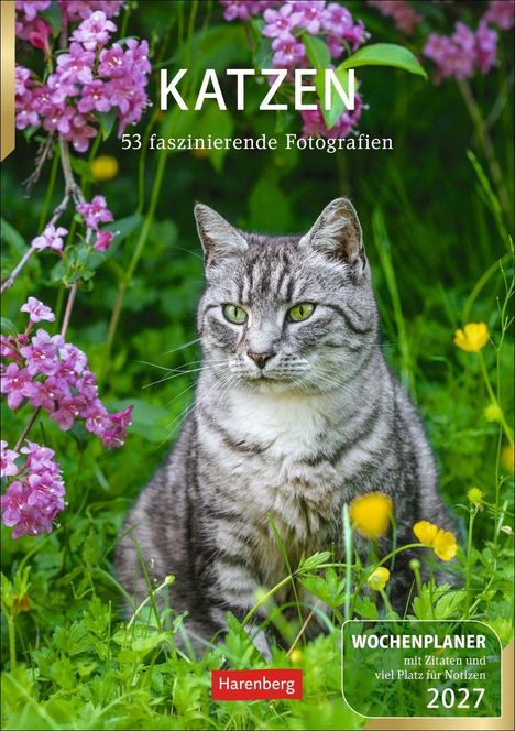 „KATZEN“ oben, „WOCHENPLANER 2027“ rechts. Eine Katze sitzt in grünem Gras, umgeben von lila und gelben Blumen.