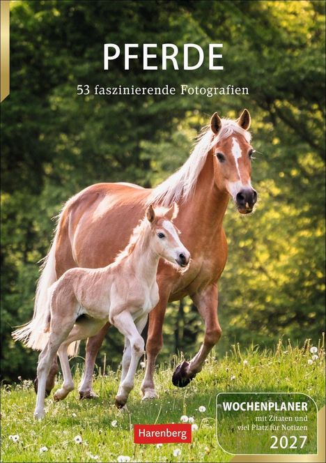"PFERDE. 53 faszinierende Fotografien. WOCHENPLANER 2027. Harenberg." Eine Stute mit Fohlen auf einer grünen Wiese.