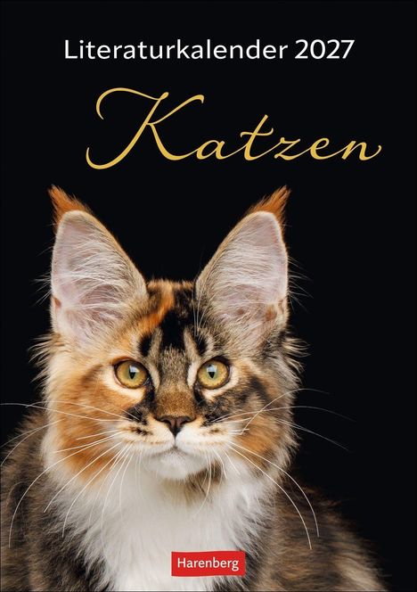 „Literaturkalender 2027 Katzen“. Eine Katze mit buschigem Fell und großen Ohren auf schwarzem Hintergrund. "Harenberg" in Rot.