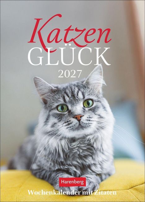 „Katzen Glück 2027. Wochenkalender mit Zitaten.“ Eine graue Katze mit grünen Augen liegt auf einem gelben Kissen.