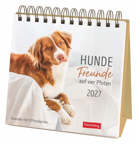Text: "Hunde Freunde auf vier Pfoten 2027", "Kalender mit 53 Postkarten". Ein Hund liegt auf einem weißen Bettlaken.