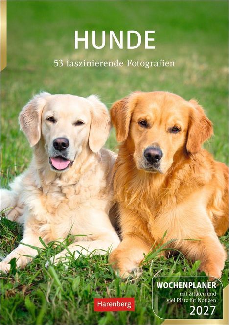 Ein Titel „HUNDE“ und Text „53 faszinierende Fotografien“. Zwei Retriever liegen im Gras, einer golden, einer cremefarben.