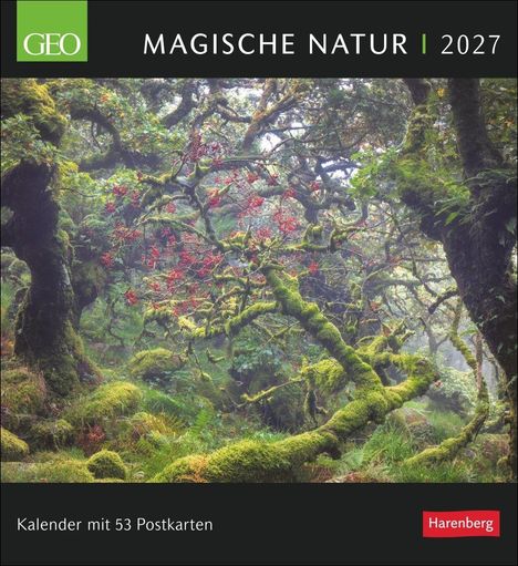 "Magische Natur | 2027. Kalender mit 53 Postkarten." Grünes GEO-Logo. Ein dichter Wald mit moosbedeckten Bäumen und roten Beeren.