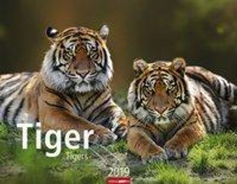 Tiger - Kalender 2019, Diverse