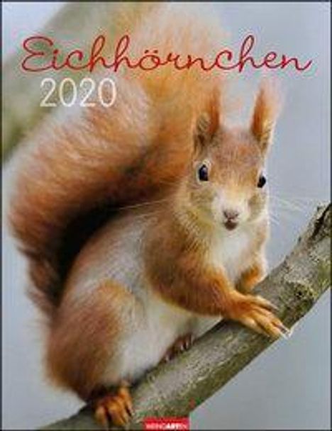 Eichhörnchen - Kalender 2020, Diverse