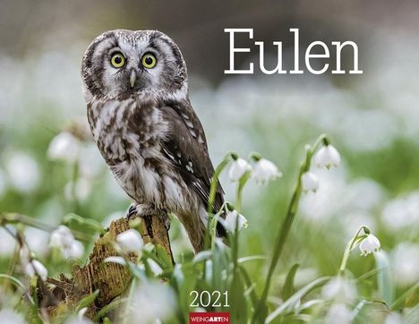 Eulen 2021, Kalender