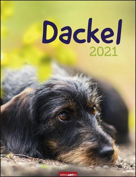 Dackel 2021, Kalender