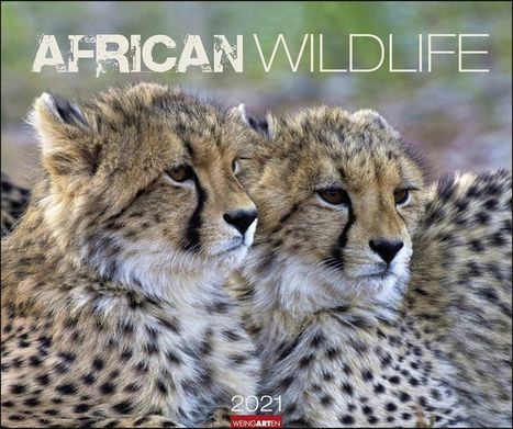 African Wildlife Kalender 2021, Kalender