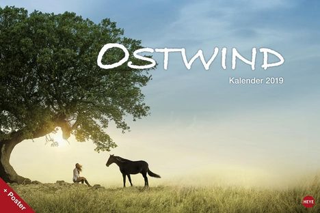 Ostwind Broschurkalender XL  2019, Diverse