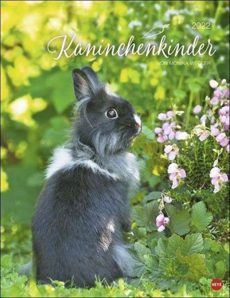Wegler, M: Kaninchenkinder Posterkalender 2022, Kalender