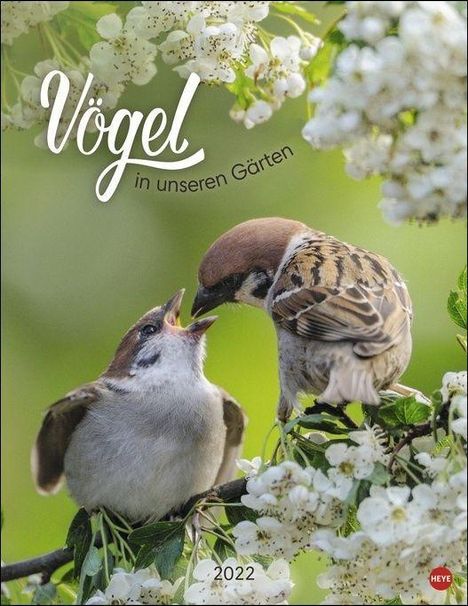 Vögel in unseren Gärten Posterkal. 2022, Kalender
