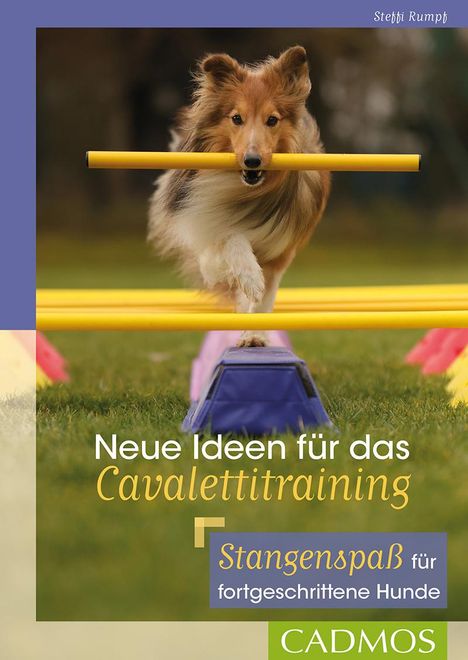 Steffi Rumpf: Neue Ideen für das Cavalettitraining, Buch