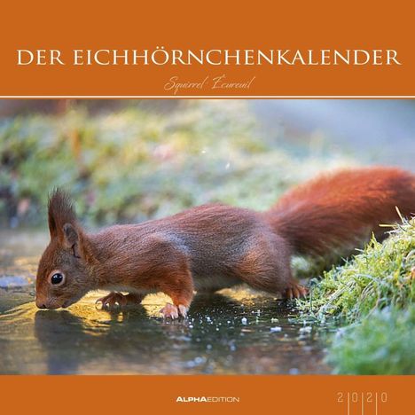 Alpha Edition: Der Eichhörnchenkalender 2020, Diverse