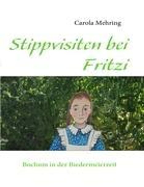 Carola Mehring: Stippvisiten bei Fritzi, Buch