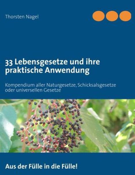 Thorsten Nagel: 33 Lebensgesetze und ihre praktische Anwendung, Buch