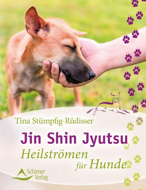 Tina Stümpfig-Rüdisser: Jin Shin Jyutsu, Buch