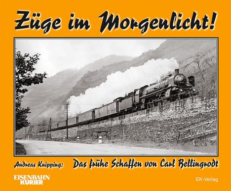Andreas Knipping: Züge im Morgenlicht, Buch