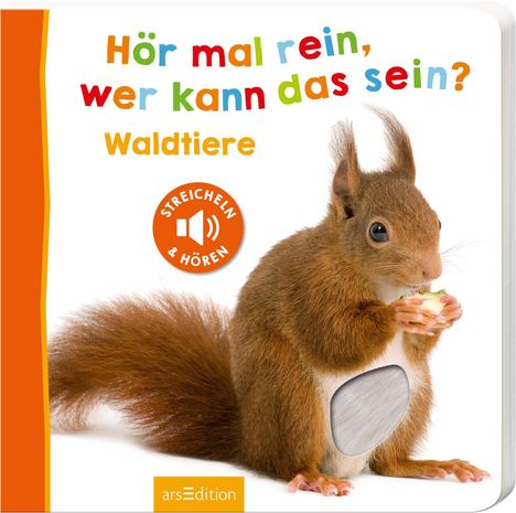 Hör mal rein, wer kann das sein? - Waldtiere, Buch