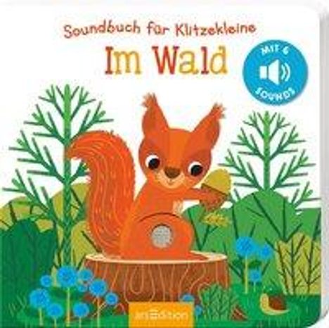 Soundbuch für Klitzekleine - Im Wald, Buch